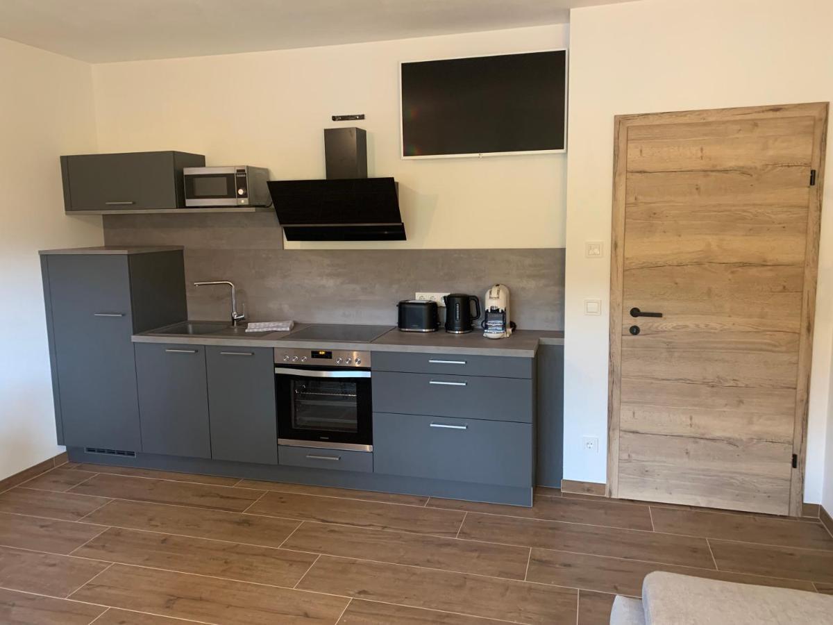 Appartments Zirbennest Schladming Extérieur photo